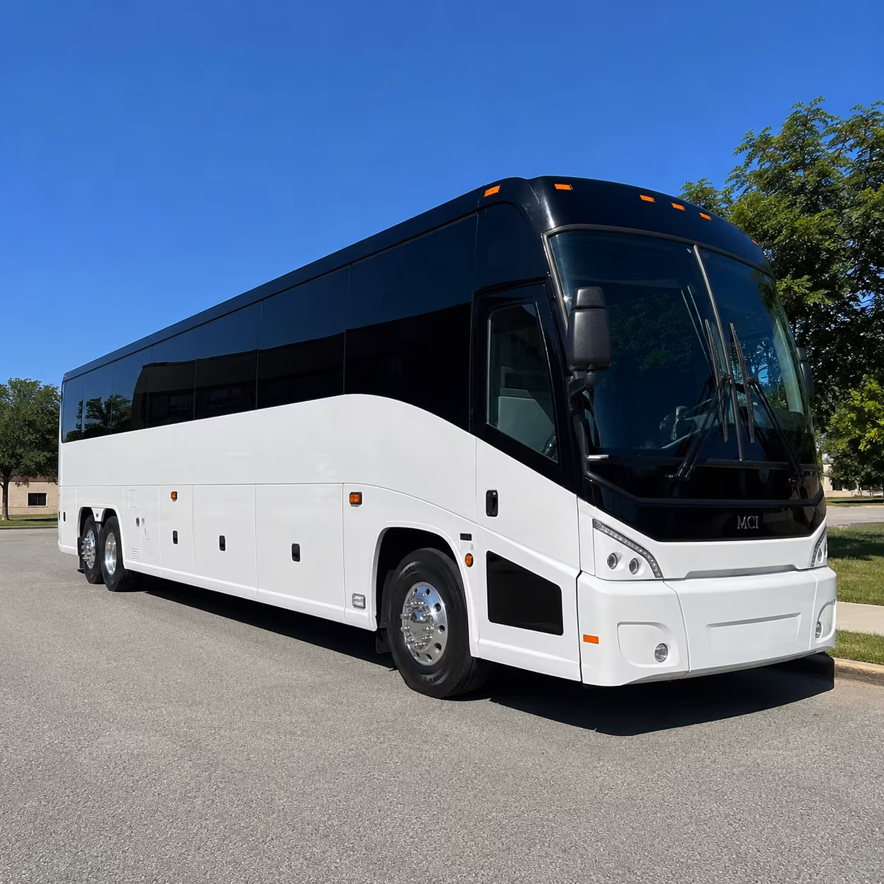 davis charter bus