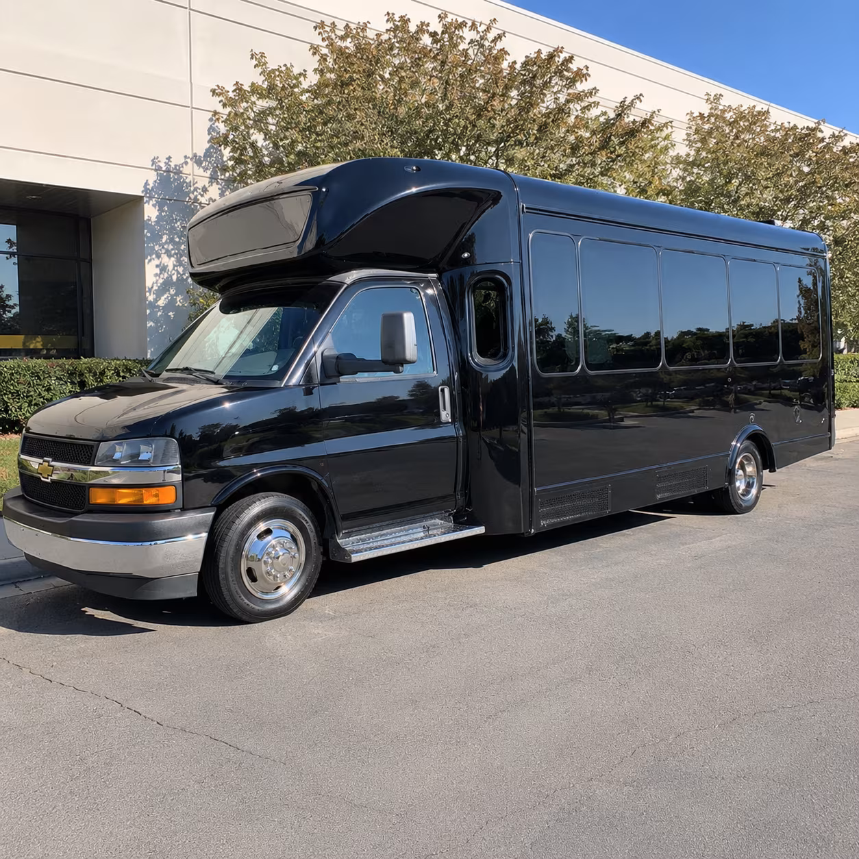 elk grove birthday party bus rental
