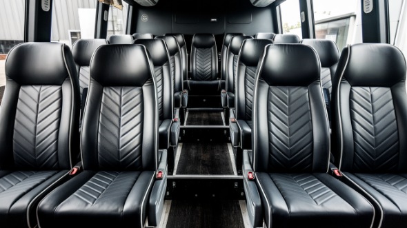 30 passenger minibus rental davis