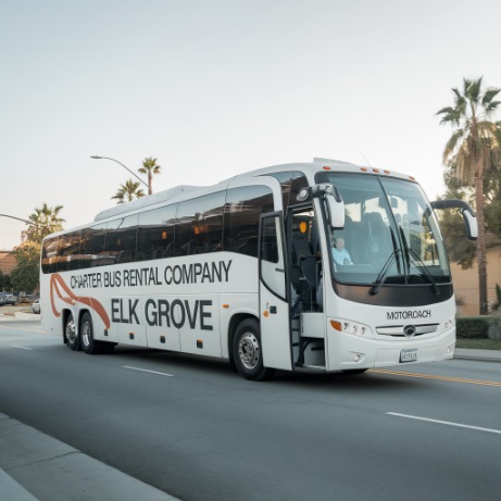 56 passenger motorcoach