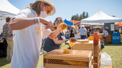 california honey festival