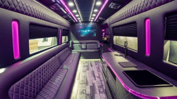 elk grove party bus rental inside