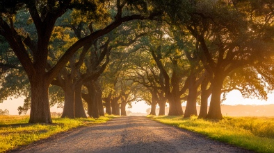 micke grove regional park