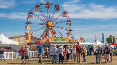 yolo county fair